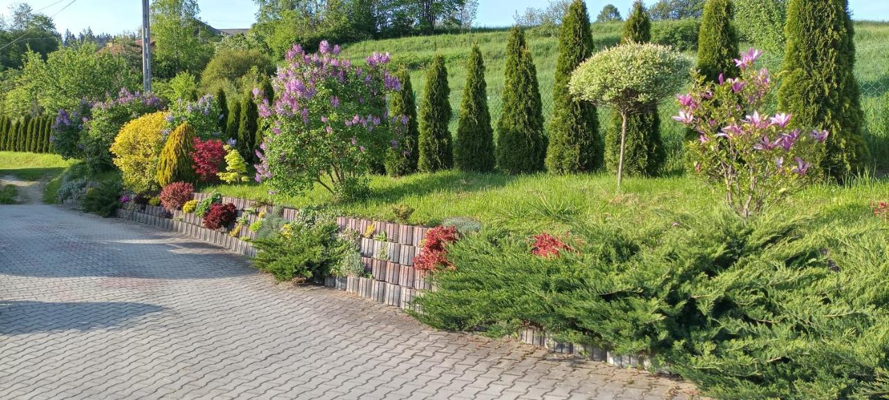 Pokoje U Solany Knurow  Exteriér fotografie